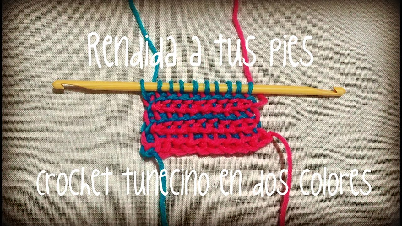 Crochet Tunecino: Punto básico con dos colores.