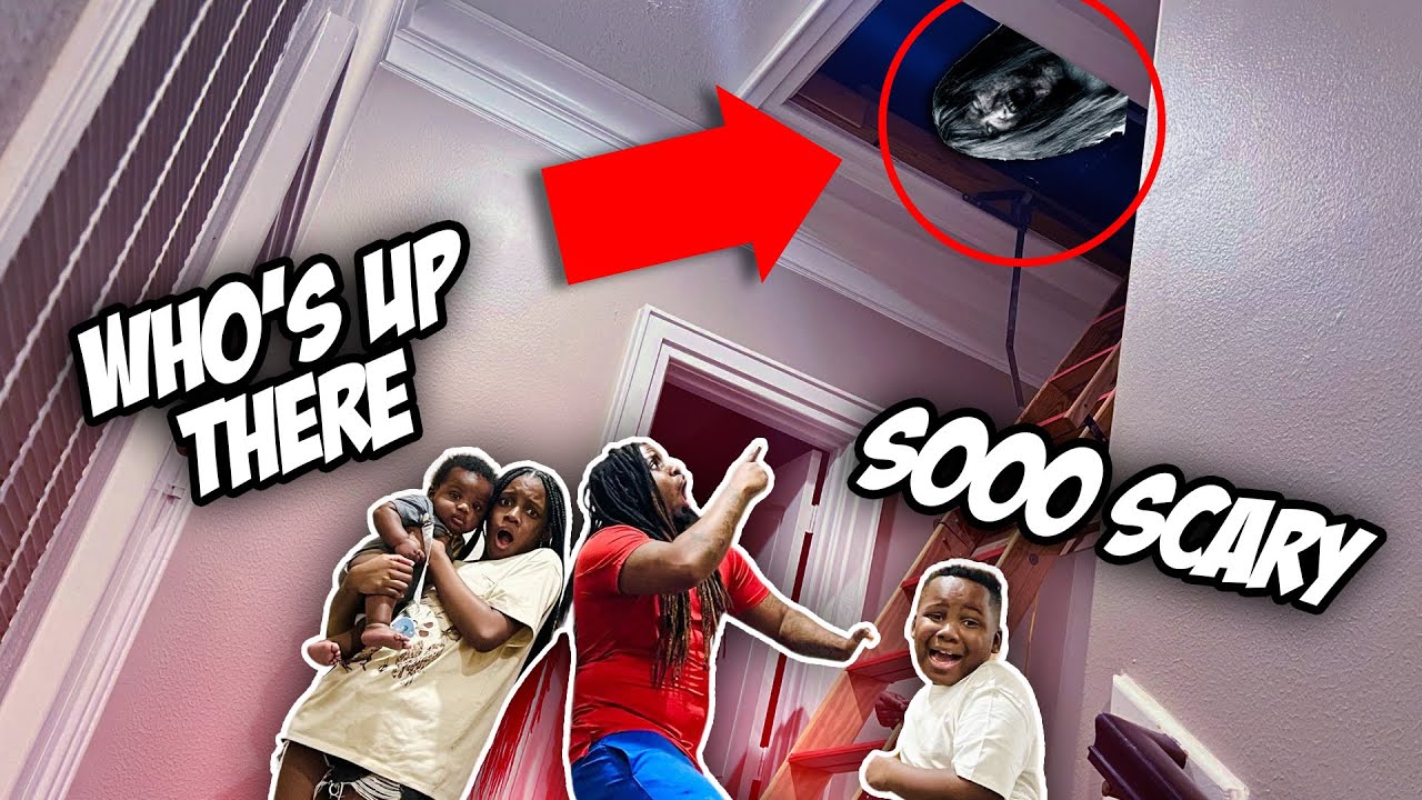 We Think There's Someone Or Something  In Our Attic