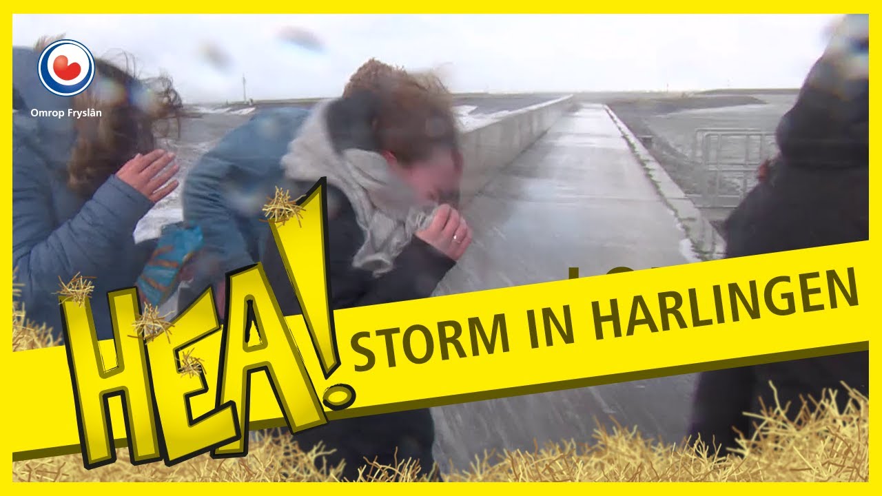 HEA! Storm in Harlingen
