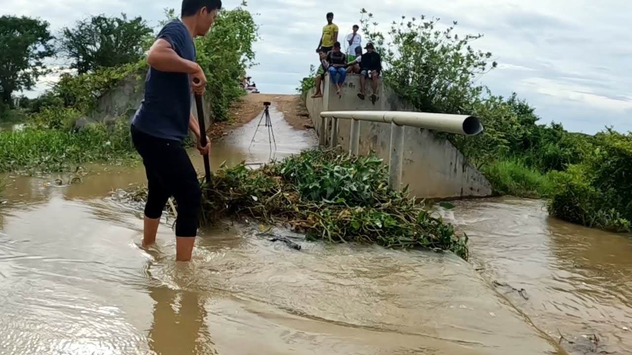 Nobody Care !!! Removal Plants Clogged On Dam Drain Water