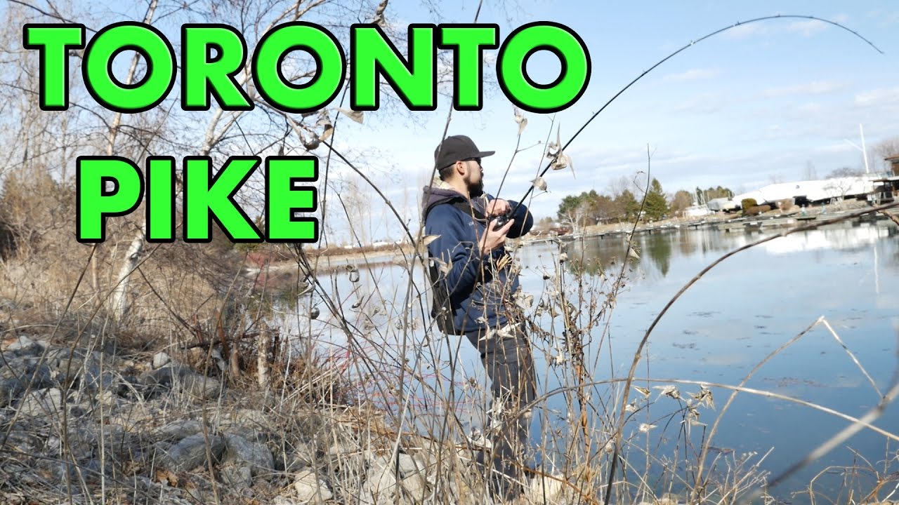Toronto Urban Pike Shore Fishing