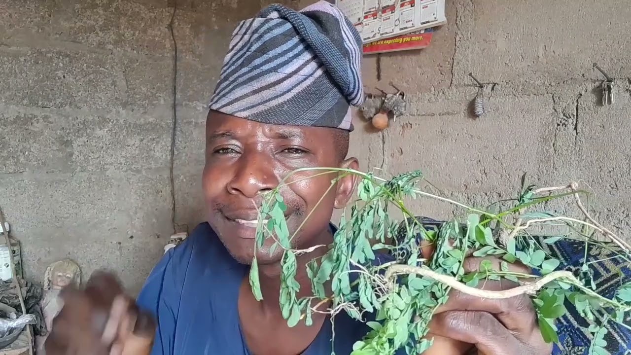 ASIRI IPESE LATIRI OWO GBA