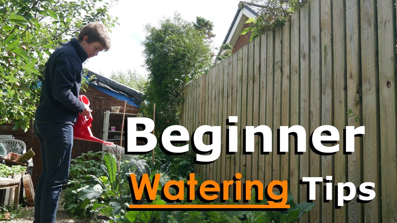 How To Water Your Garden | Watering 101
