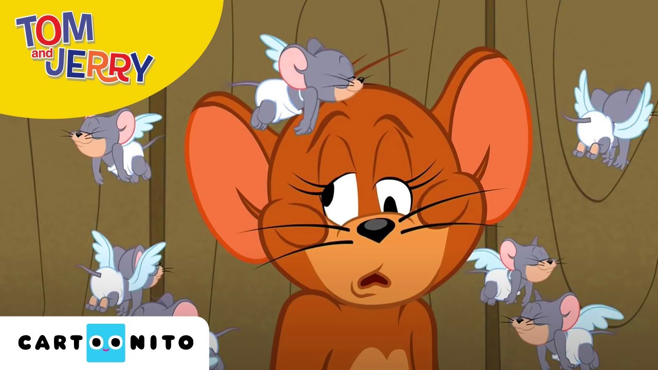 Tom and Jerry | Liefdesrivalen | Cartoonito