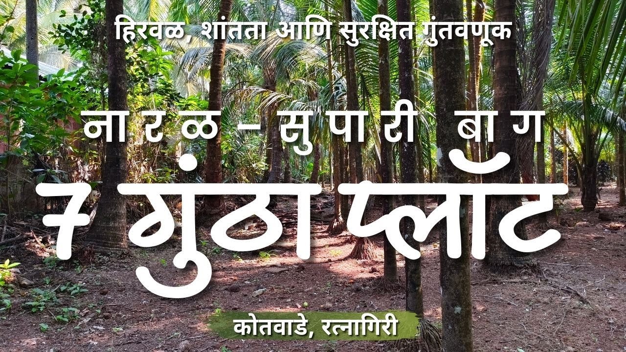 Scenic 7 Guntha Plot Konkan Plantation Land for Sale | Coconut & Supari Farm | Kotawade #farm