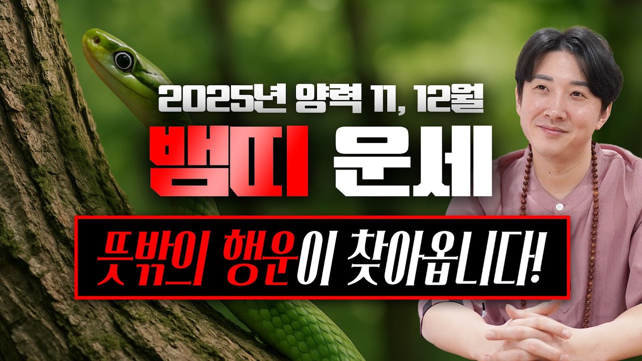 2025년 을사년 양력 11, 12월 뱀띠 운세 / 두 번 다시 없을 최고의 행운이 찾아옵니다! / 89년생, 77년생, 65년생, 53년생