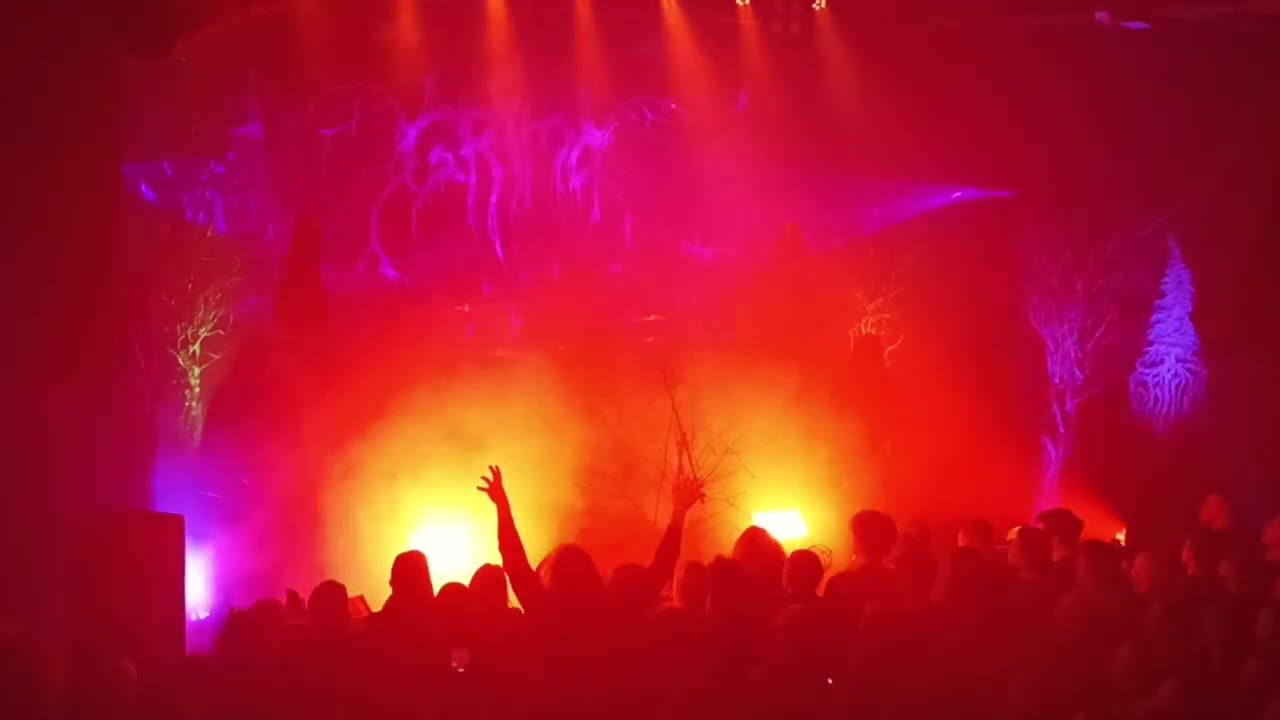 Grima - Cedar and Owls (Live 01.12.23, Saint-Petersburg, Factory #3 club)