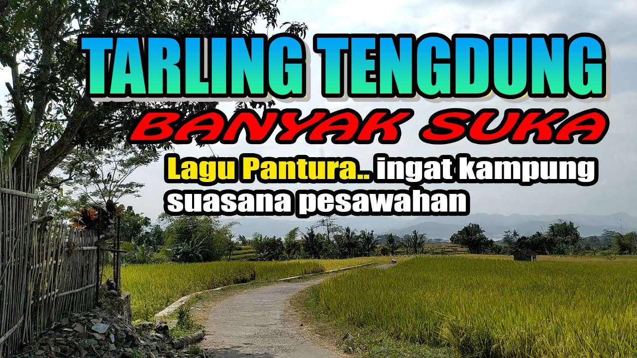 Tarling Cirebonan Indramayu paling dicari 2024 banyak yang suka