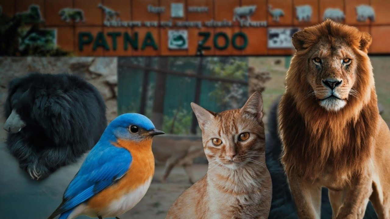Patna Zoo | पटना चिड़ियाघर 2026 | Sanjay Gandhi Biological Park This Is Amezing Zoom wowwwww 