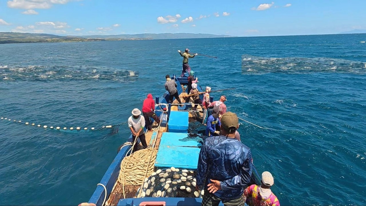 Pukat cincin, Nelayan Indonesia Dapat Banyak Ikan, luar biasa hasil tangkapan nelayan Indonesia