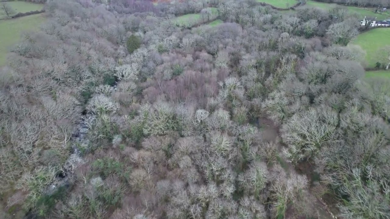 𝙒𝒐𝙤𝒅𝙡𝒂𝙣𝒅 𝒏𝙚𝒂𝙧 𝘽𝒐𝙣𝒕𝙣𝒆𝙬𝒚𝙙𝒅, 𝘾𝒂𝙚𝒓𝙣𝒂𝙧𝒇𝙤𝒏 - 10.9 ac near Snowdonia with River Frontage