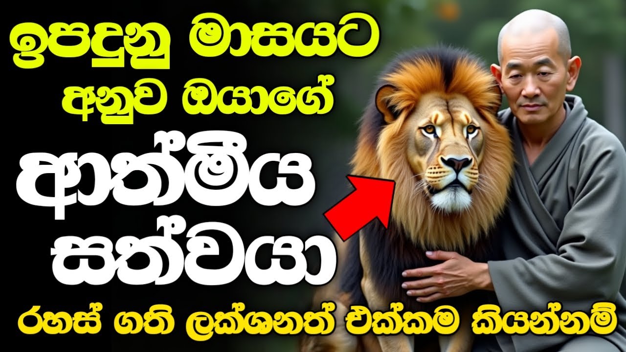 සෙන් දහමට අනුව ඔයා ඉපදුනු මාසයට අනුව ඔයාගේ බලගතු ගති ලක්ශන