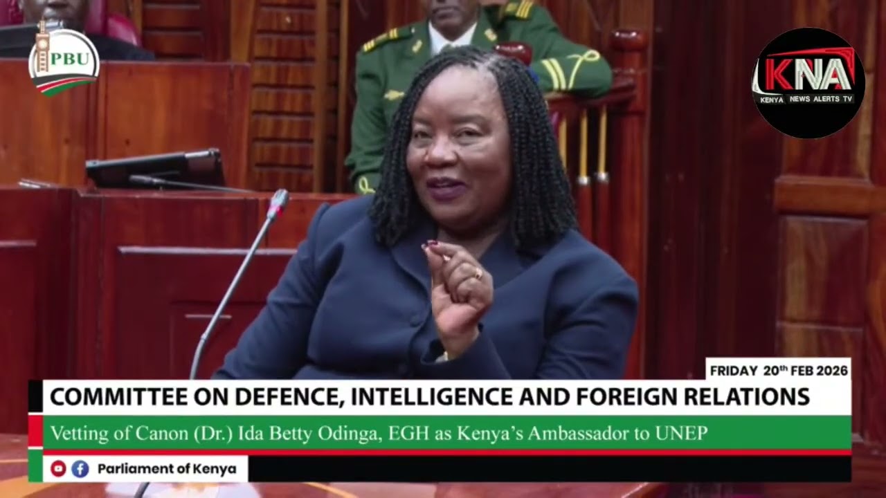 MAMA IDA ODINGA BEFORE THE COMMITTEE ON DEFFENCE, INTELLIGENCE AND FOREGN RELATIONS