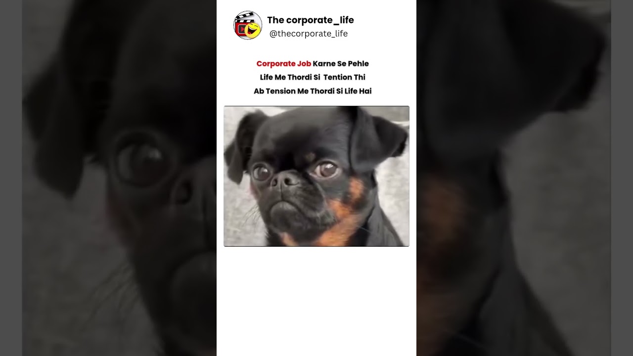 #employeememes #funny #corporatelifememes #youtubeshorts #shorts