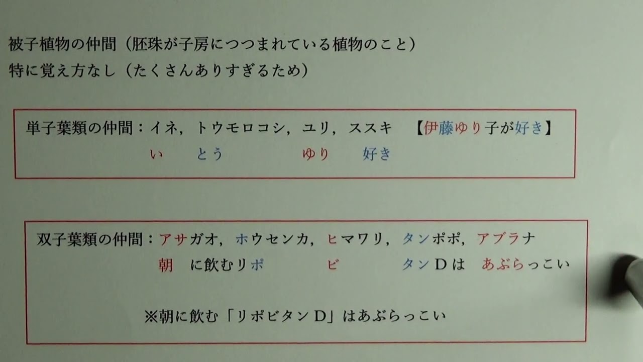 中1理科　植物の分類 【その１】植物を一気に分類！暗記方法。