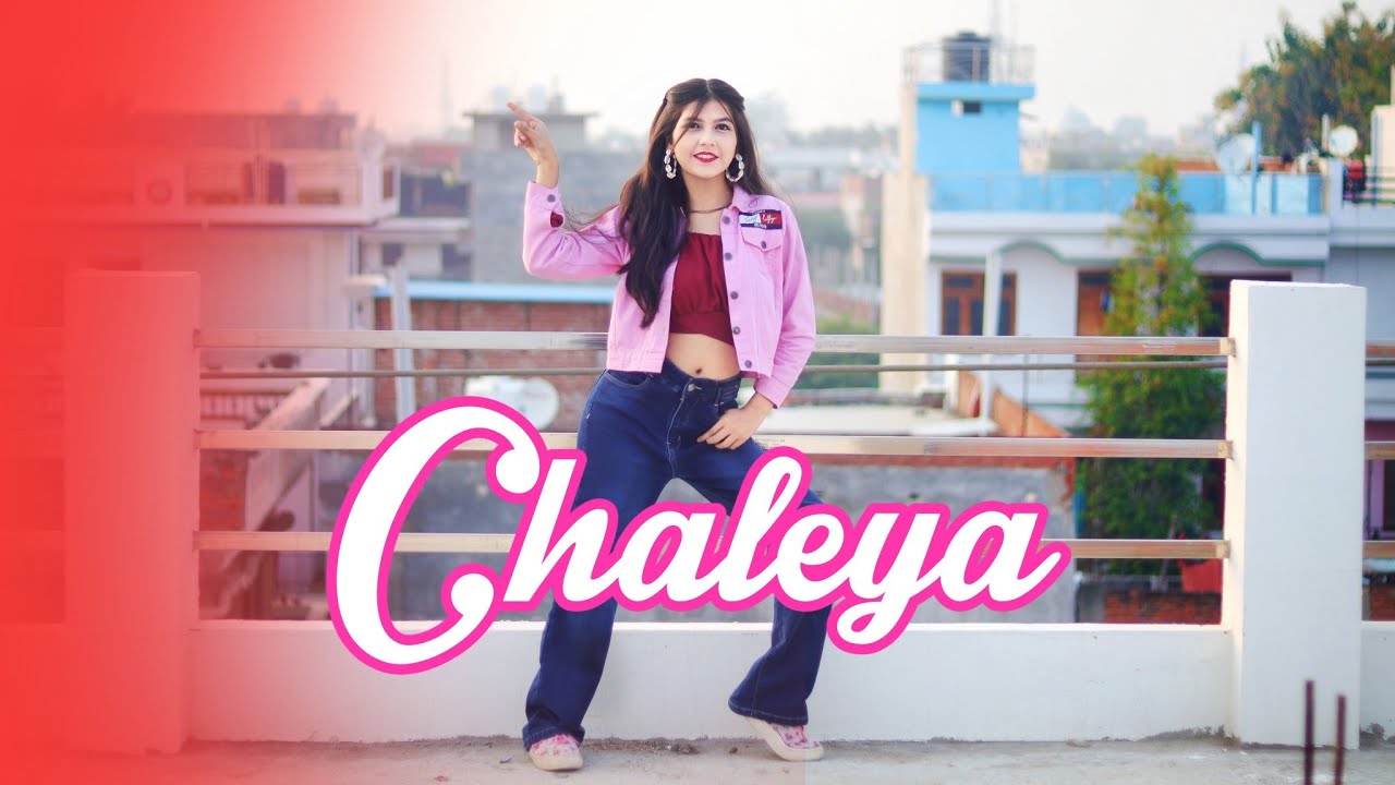 Chaleya Dance Video | Jawan | Shah Rukh Khan | Easy Dance  |Spinxo Khushi Choreography