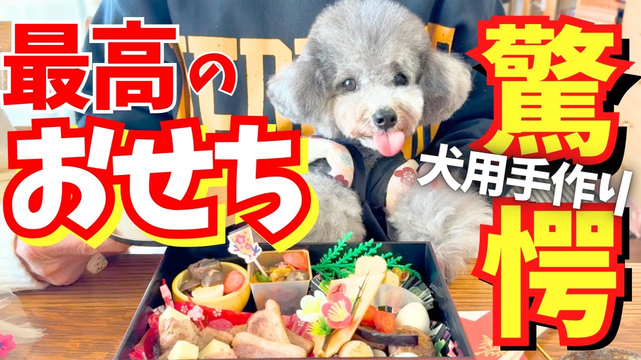 【お正月2025】豪華手作り犬用おせち作り方🐶最高の犬用伊達巻も完成💓