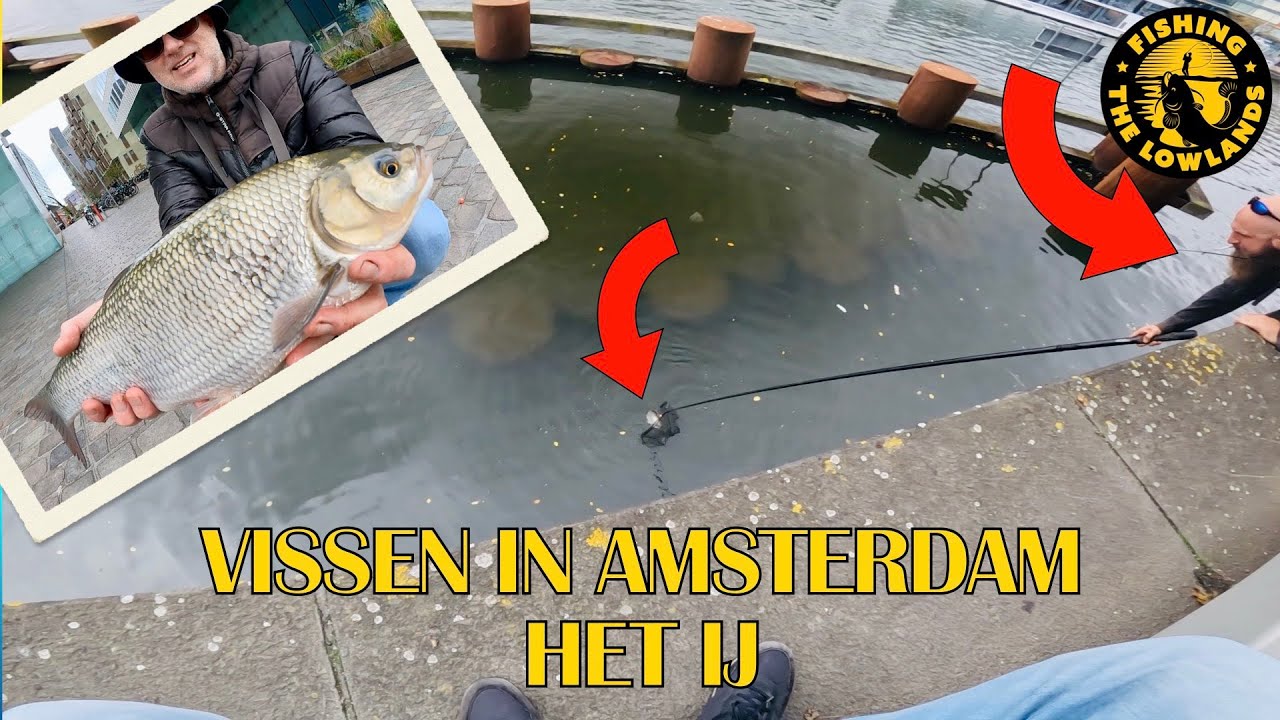 Vissen in Amsterdam, het IJ. Winde, Baars en witwis. FishVlog #175.