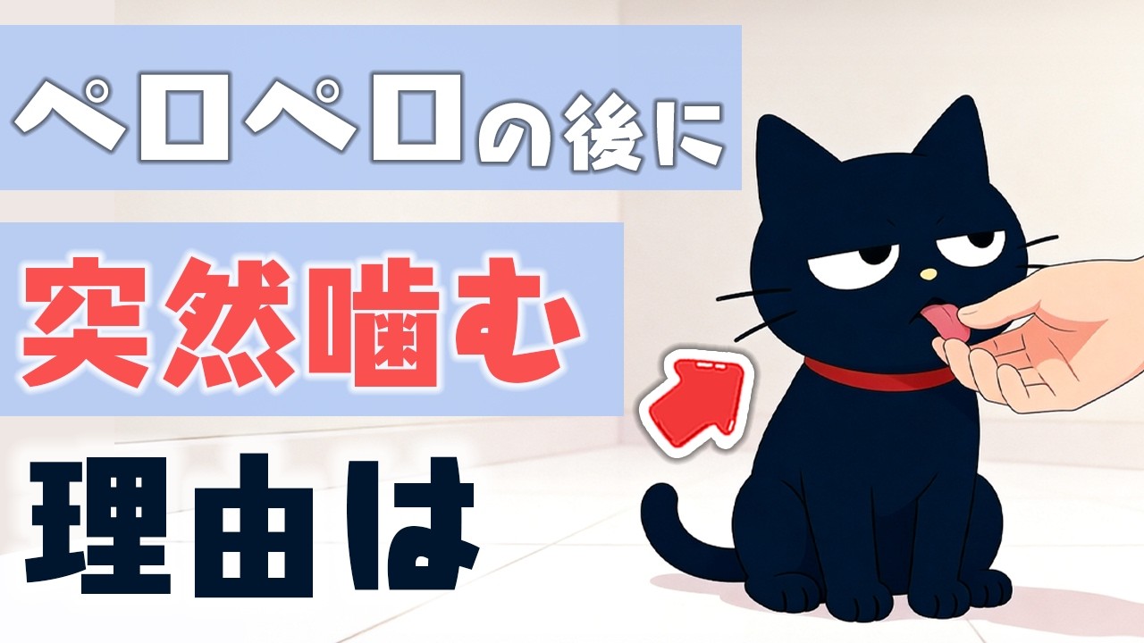 飼い主が困惑する猫の行動とその理由７選【猫雑学】