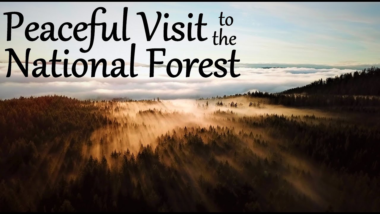 Camping and exploring in the Umpqua National Forest