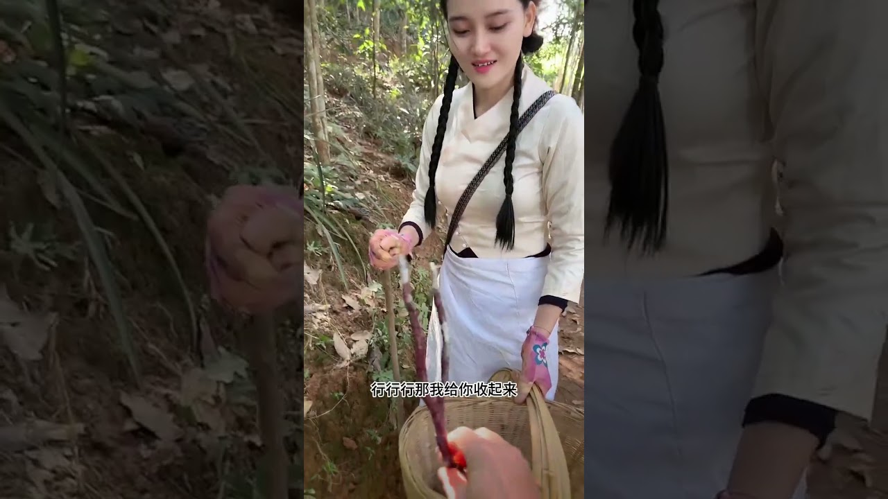 自驾游 来到了 云南西双版纳的大山里遇到了一位好心的漂亮小姐姐   #西双版纳 #记录真实生活#真实生活2025 #西助农行 #农村生活#剧情 #随拍