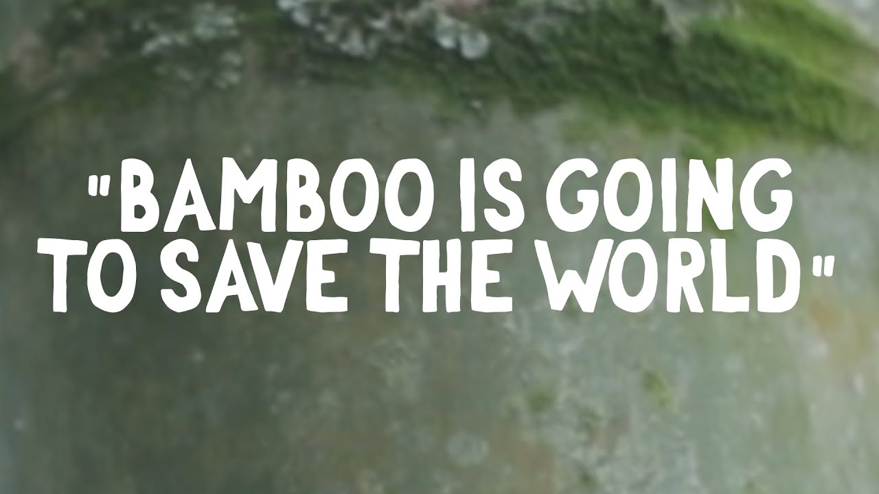 Bamboo is WAY MORE useful than even realized - Local Bamboo Tour!