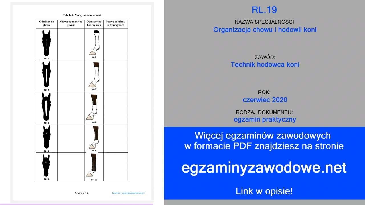 Egzamin zawodowy praktyczny RL.19, Organizacja chowu i hodowli koni, czerwiec 2020