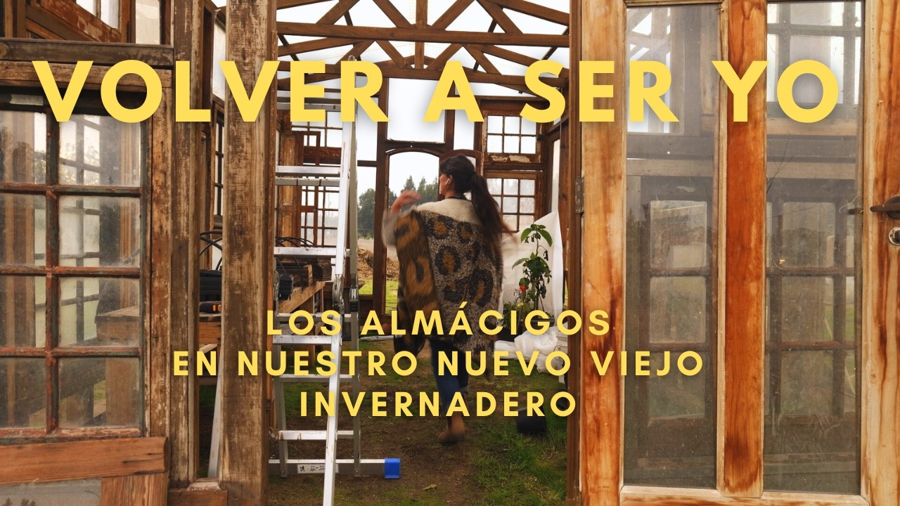🌱 🌟  Comienzan los Almácigos en mi Viejo nuevo Invernadero | Vuelvo a ser Yo