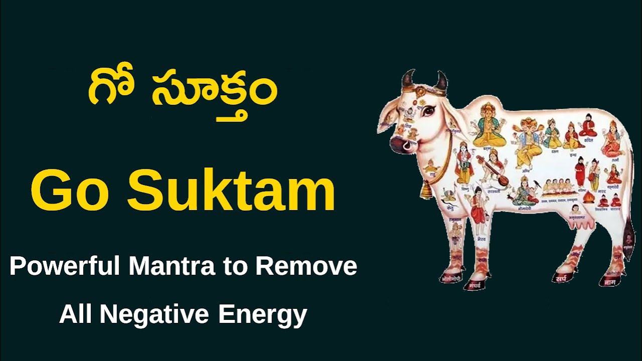 గో సూక్తం ¦ Go Suktam ¦ Powerful Mantra to Remove All Negative Energy ¦ Namaskar TV