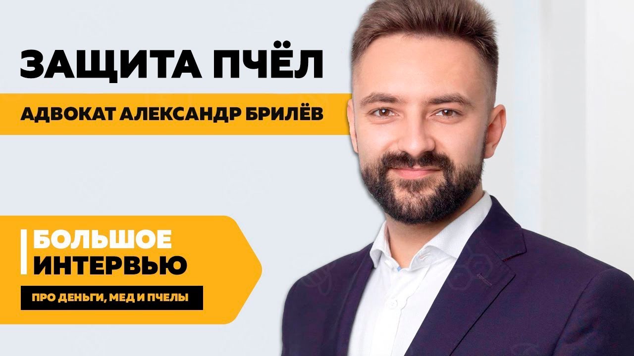 Александр Брилёв &mdash; потрава пчел, как защитить пасеку, законы