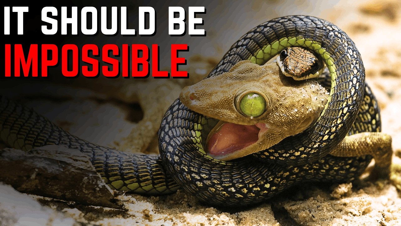 Why Venom is Nature's Strangest Weapon.