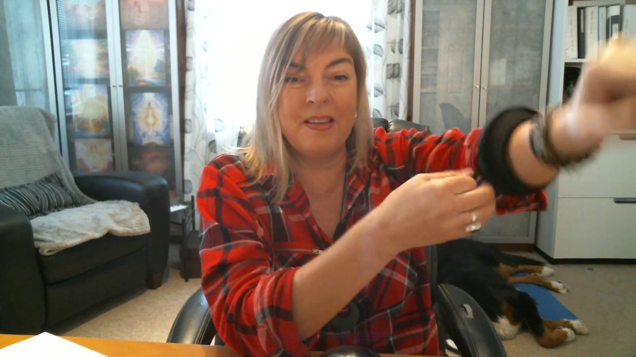 description des produits de shungite la pierre anti onde