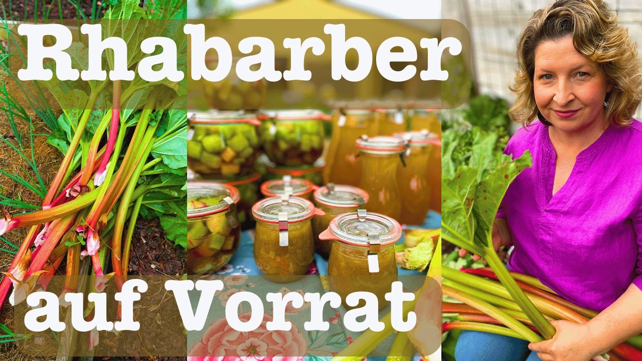 # 93 Rhabarber einkochen und haltbar machen 🌼 4 köstliche und einfache Rezepte für die Vorratskammer