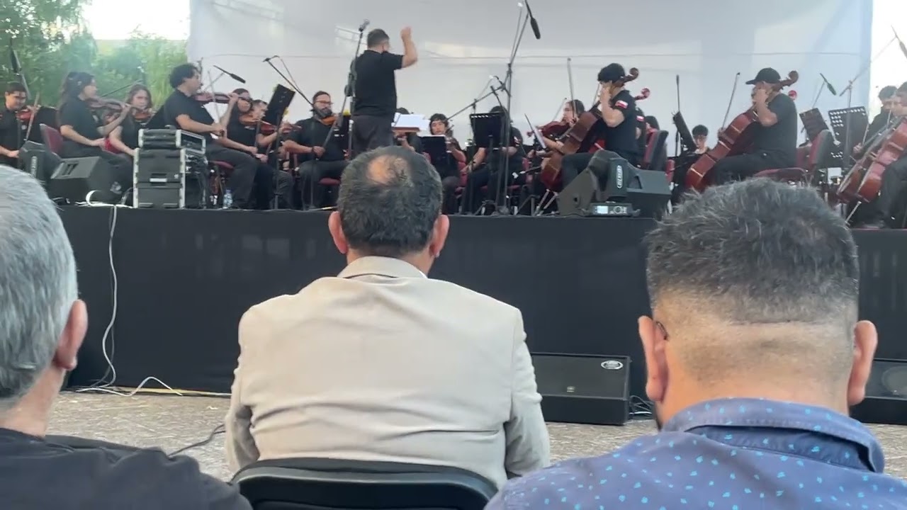 Orquesta Sinfónica Juvenil Collipulli - Purén, Enero 2026. Harry Potter