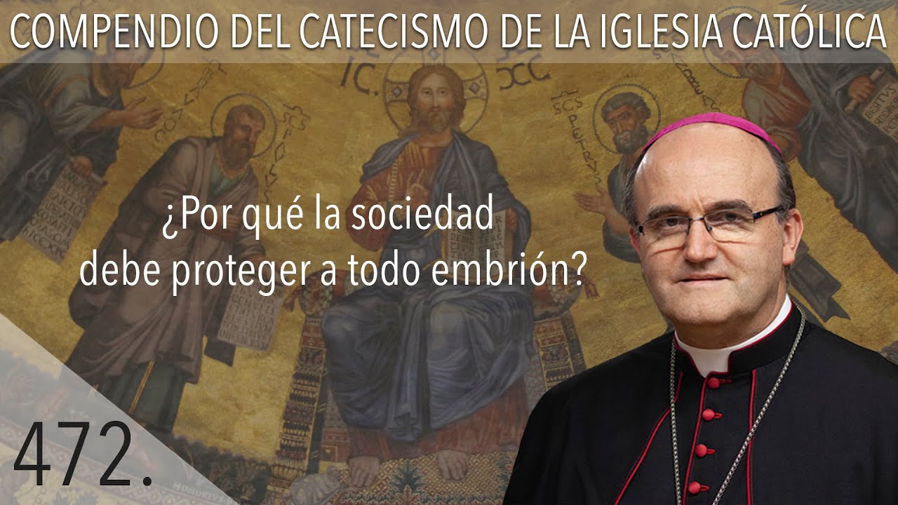 nº 472 ¿Por qué la sociedad debe proteger a todo embrión?