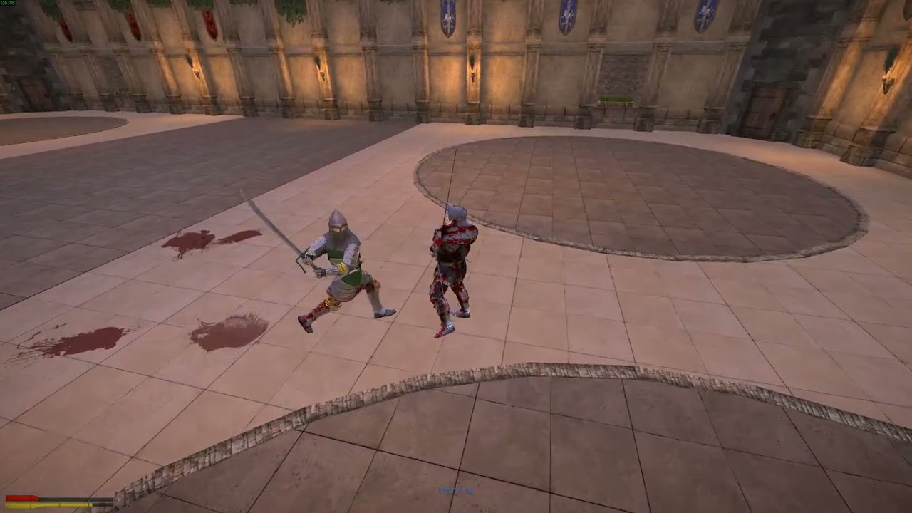 Morning vs Turtle