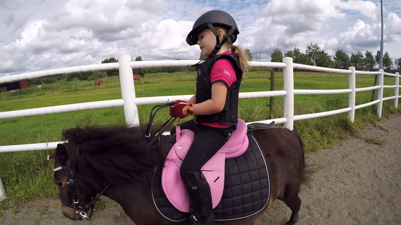 vlogg f&ouml;lj med oss till stallet
