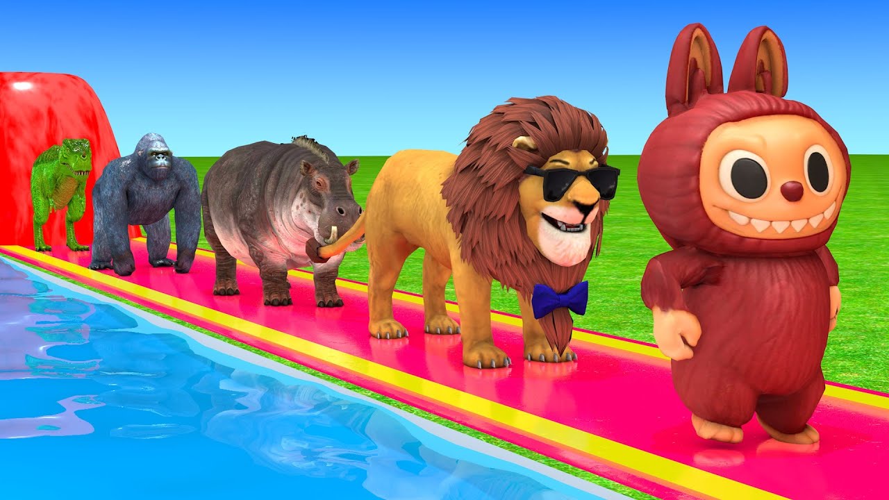 Long Slide Game With Labubu Zimomo Tycoco Spooky Mokoko 3d Animal Game Funny 3d Animals