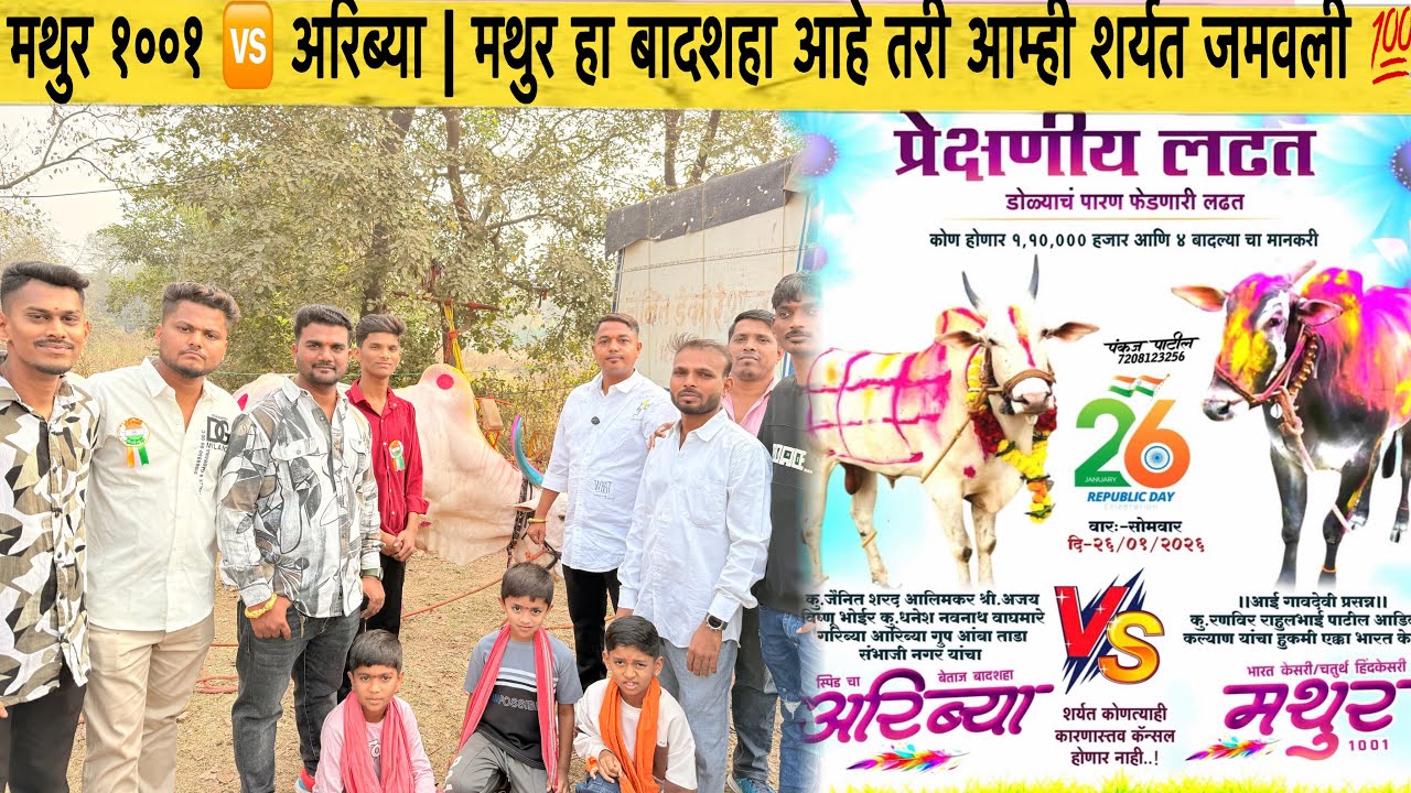 मथुर १००१ 🆚 अरिब्या | मथुर हा बादशहा आहे तरी आम्ही शर्यत जमवली 💯