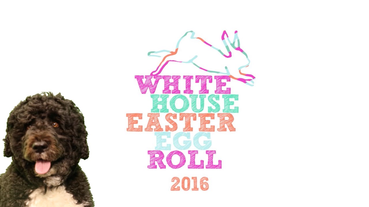 The 2016 White House Easter Egg Roll!