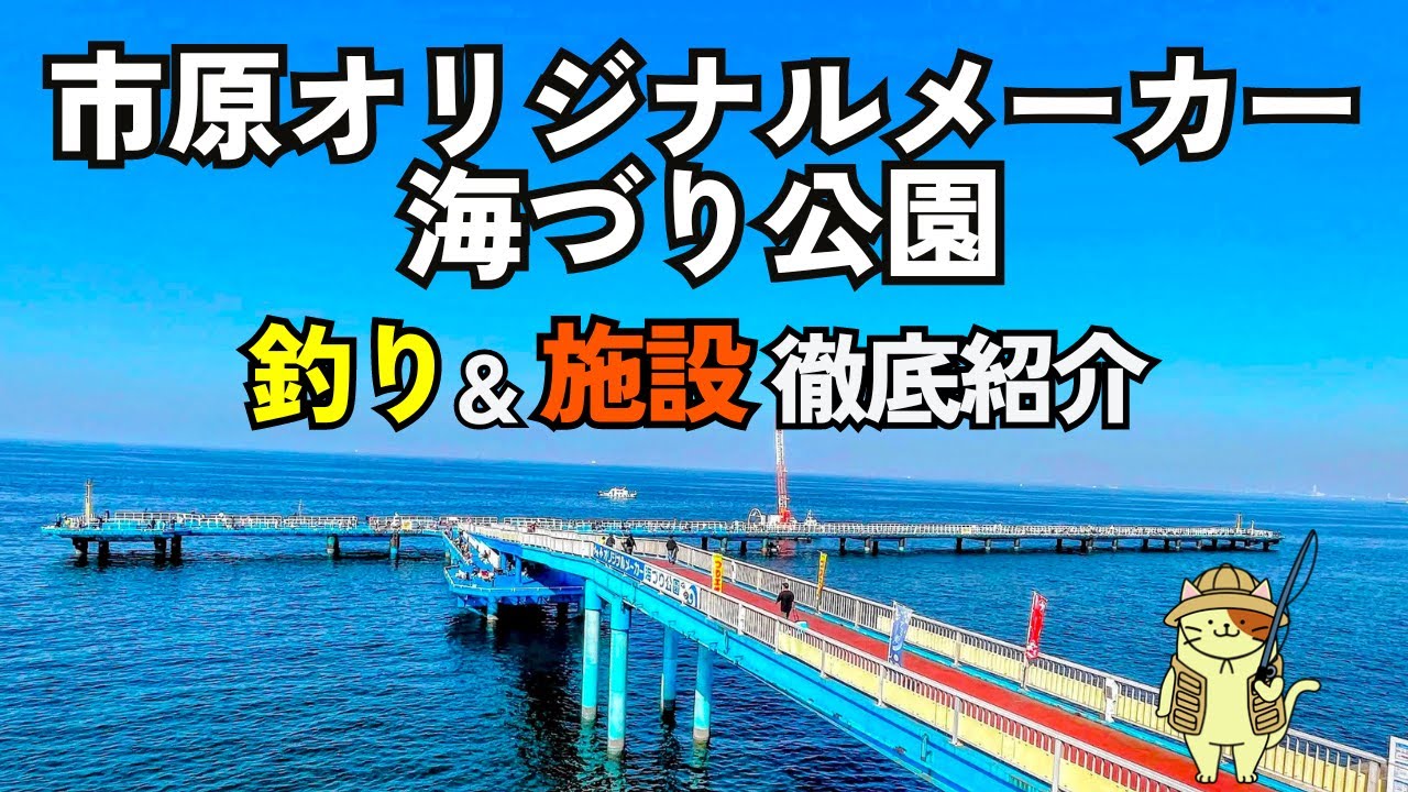 市原オリジナルメーカー海釣り公園｜混雑で入場制限の土日祝の攻略方法と釣りポイントを紹介。釣行時はあの回遊魚が公園全体で爆釣