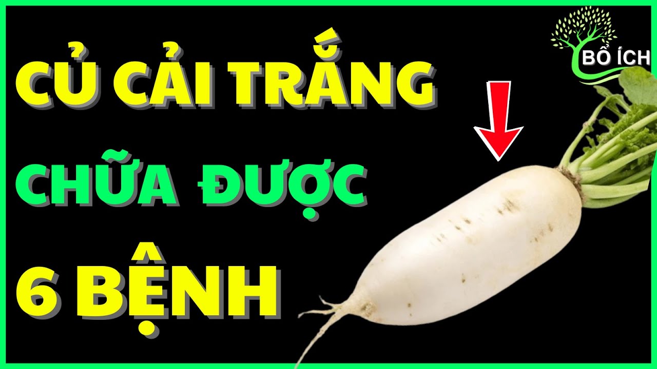 Tin Vui: 6 Lợi Ích Của Củ Cải Trắng Chữa Được 6 Căn Bệnh Thường Gặp Nhất- kênh sức khoẻ bổ ích
