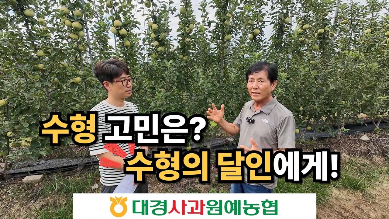 [사과] 수형 고민은? 수형의 달인에게!