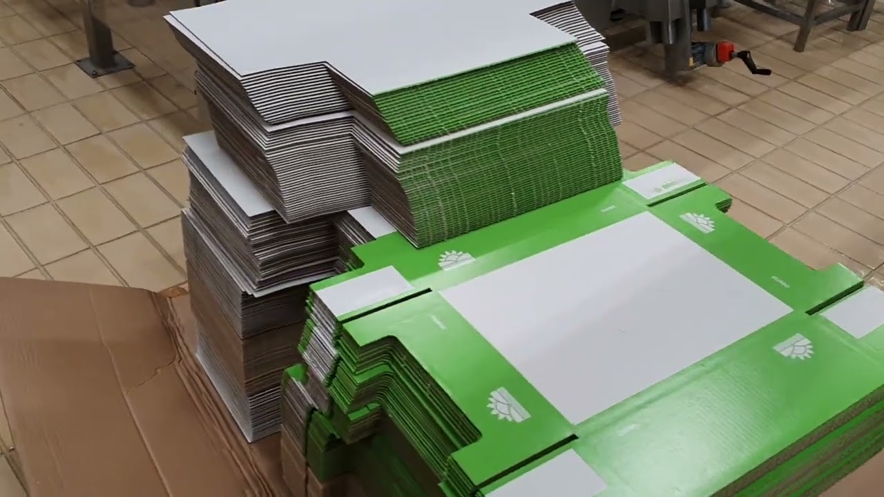 PRODUCTUS - GAMPACKGROUP - CasePacker Butter