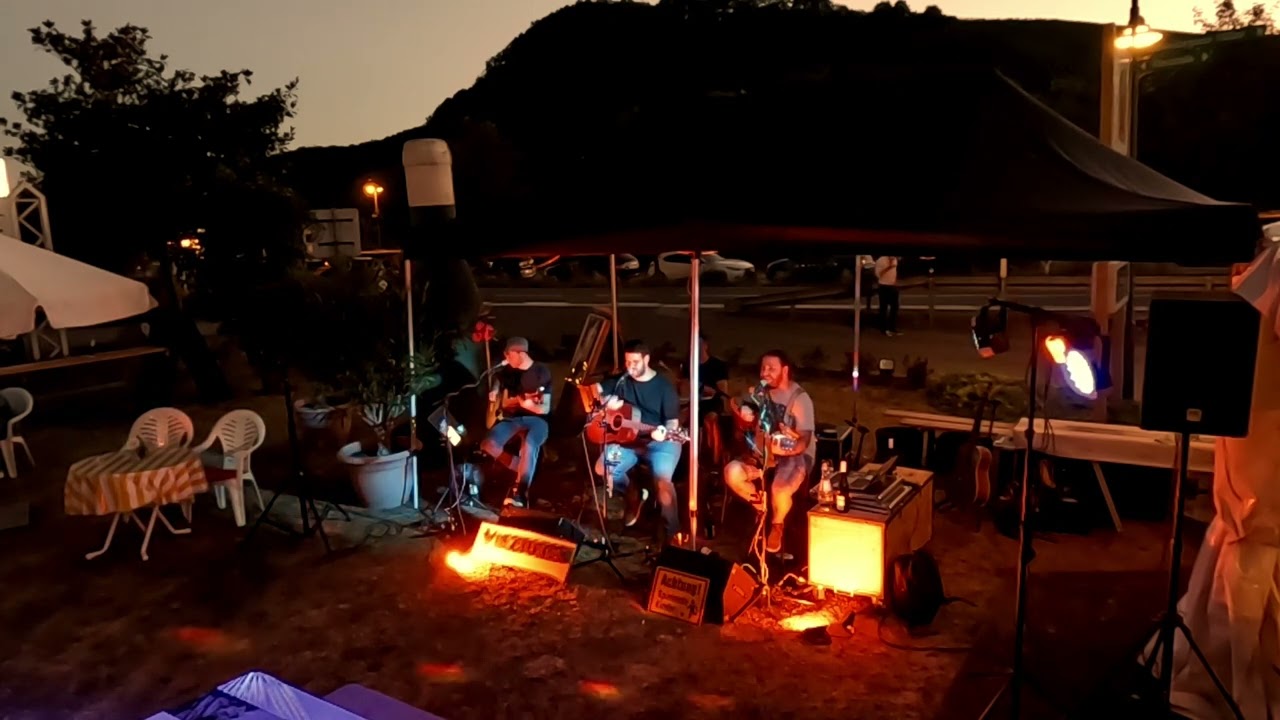 Viezbuxen - Chemie Ya / Akustik Cover (Original von @kraftklub)