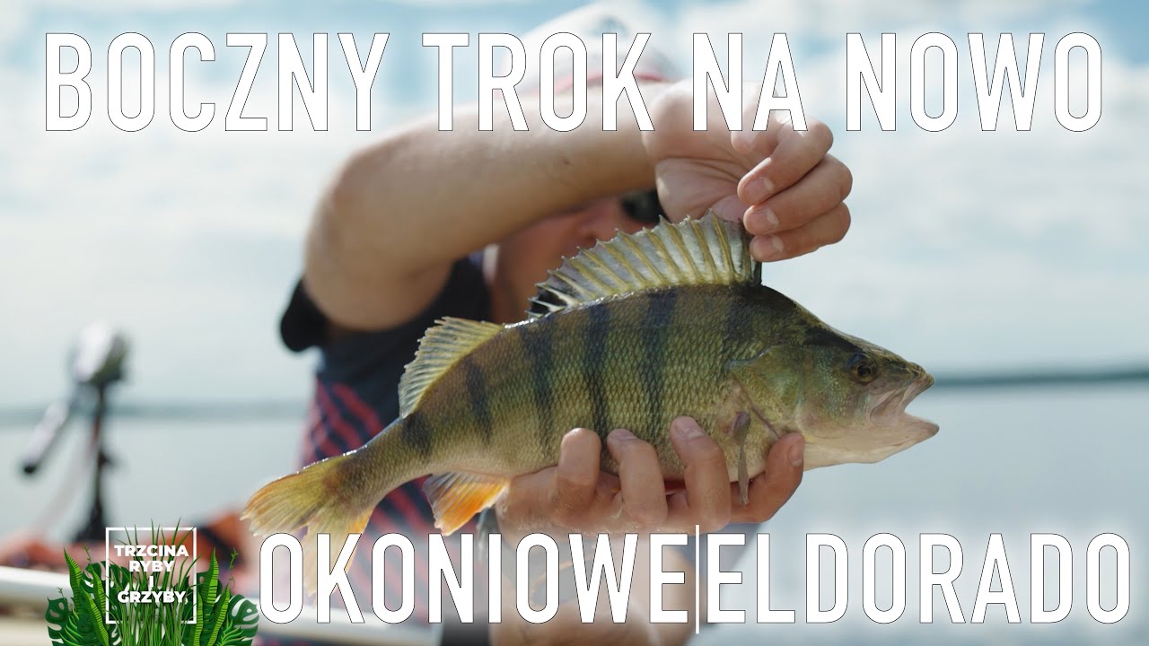 Obalamy mity. Boczny trok nie tylko dla...