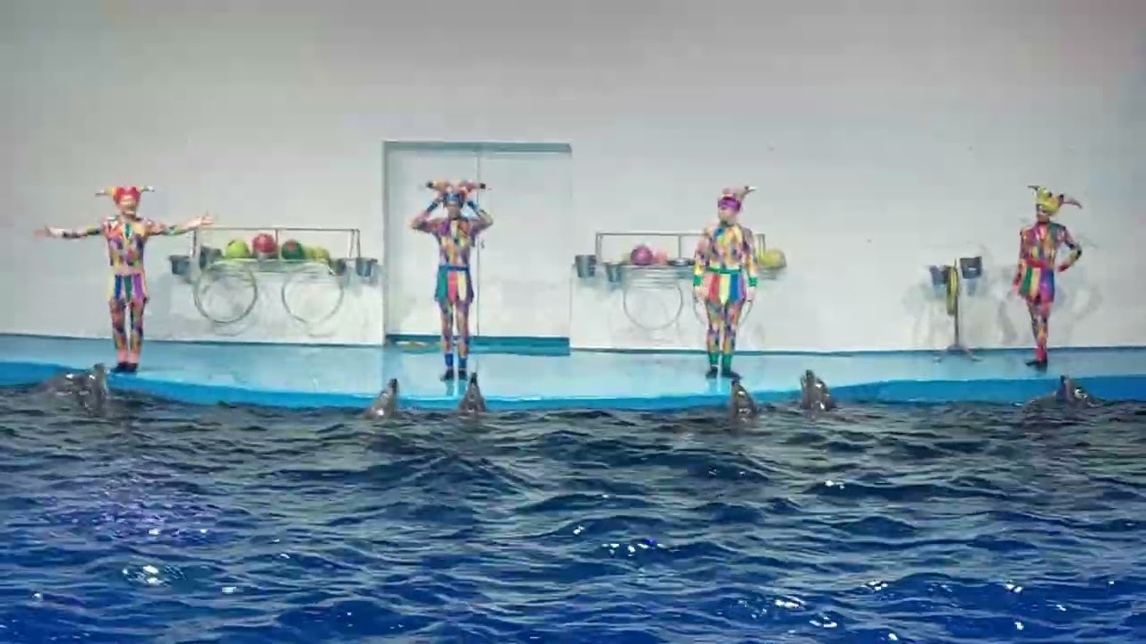 13 марта 2026 г.