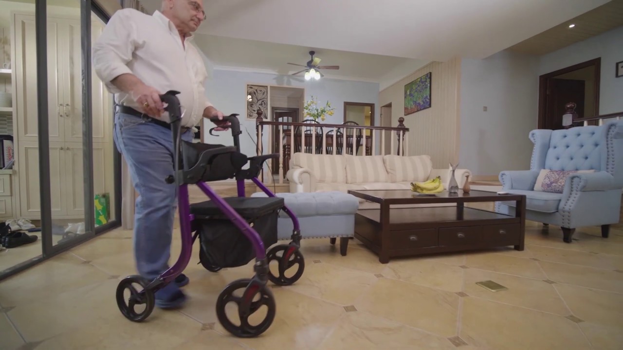 Elenker 2-in-1 Rollator Walker & Transport Chair, Folding Wheelchair Rolling Mobility Walking Aid