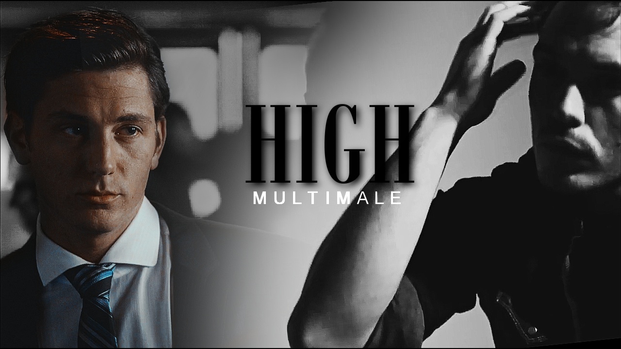 Multimale | High