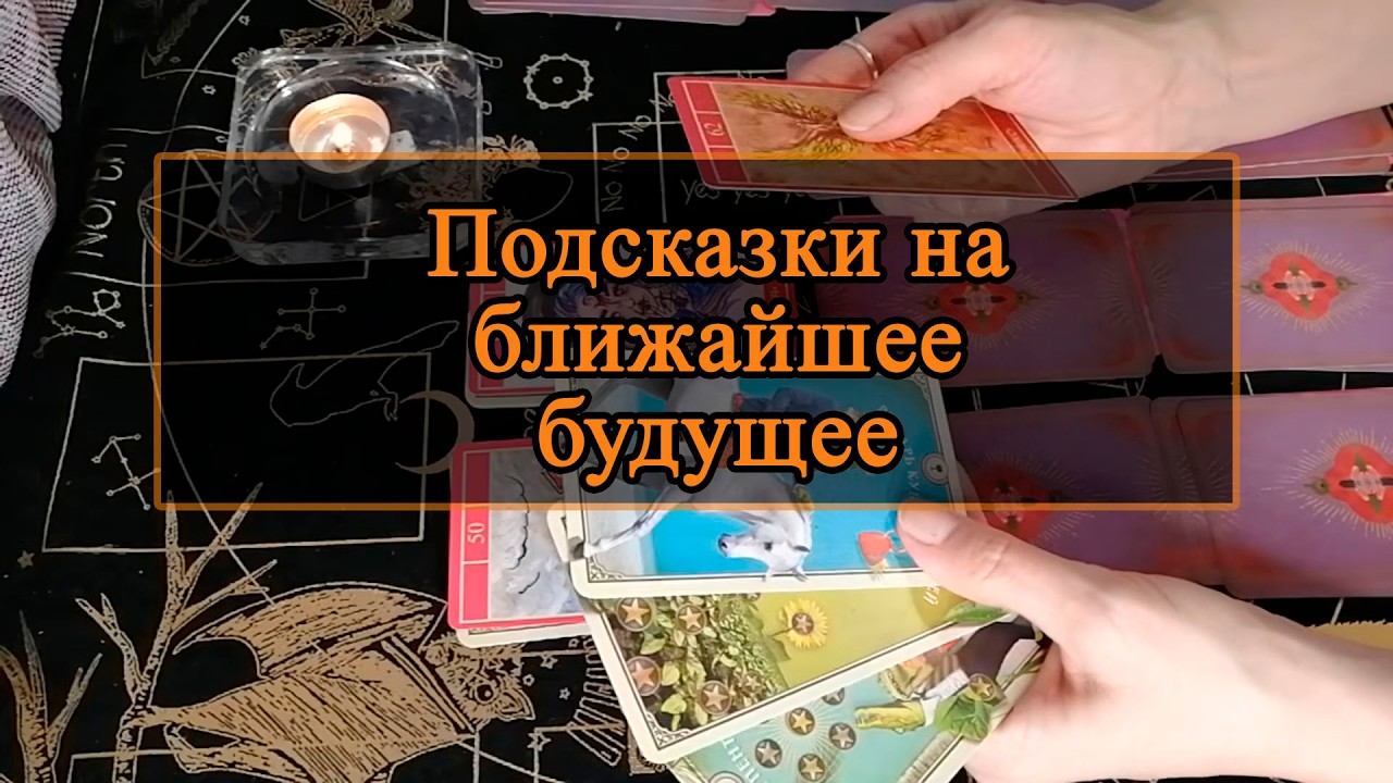 Подсказки на ближайшее будущее.